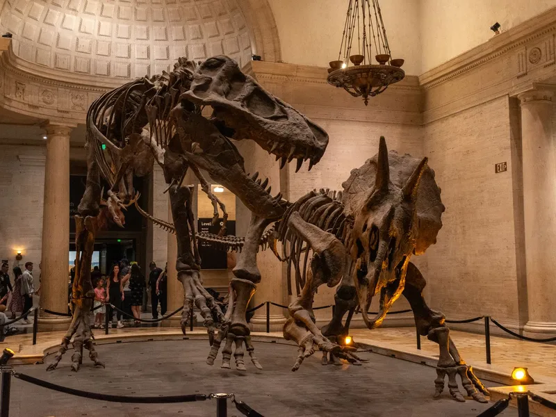 Dinosaur skeletons on display in the rotunda of the Natural History Museum in Los Angeles as visitors look on