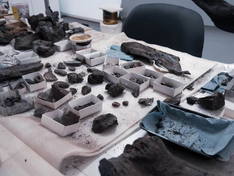 Archaeological finds and samples sorted into small boxes on a laboratory work table