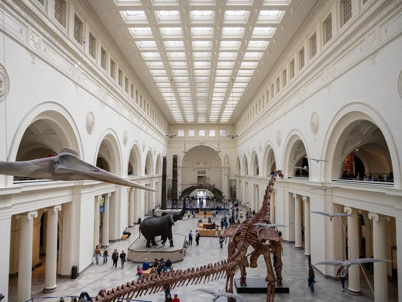 Visitors in the grand hall of the Field Museum in Chicago beneath dinosaur skeletons and an elephant display