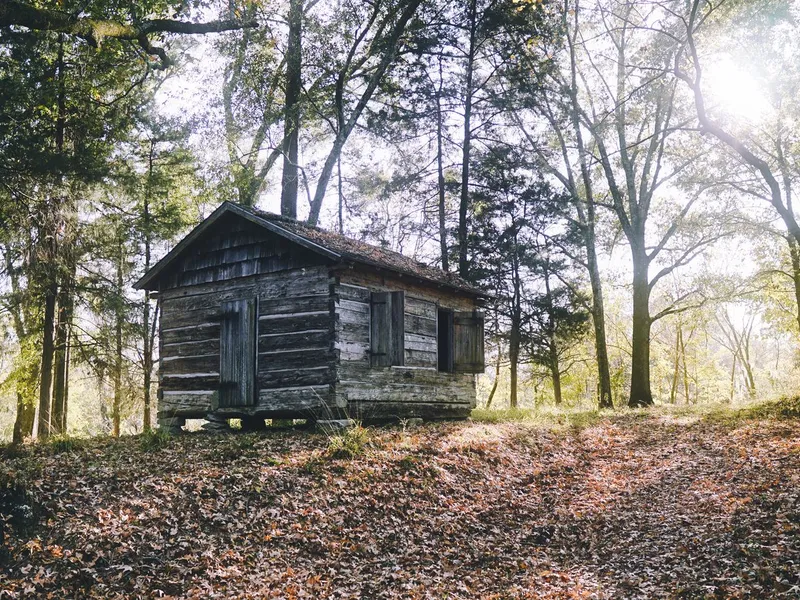 Weathered log cabin standing among autumn trees and fallen leaves in Port Gibson, Mississippi