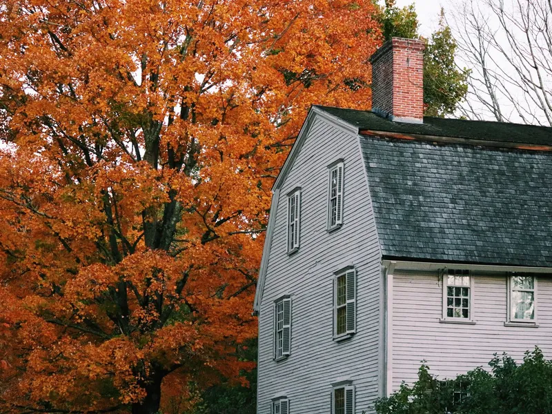 Historic colonial-era clapboard house with a brick chimney beside a tree in bright orange autumn foliage