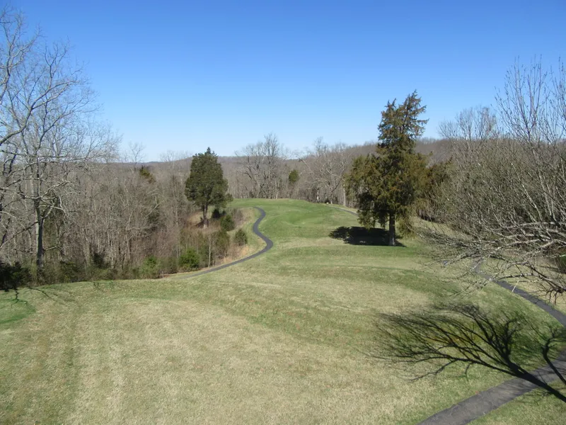 Grassy earthwork of Serpent Mound in southern Ohio seen from above with surrounding woodland