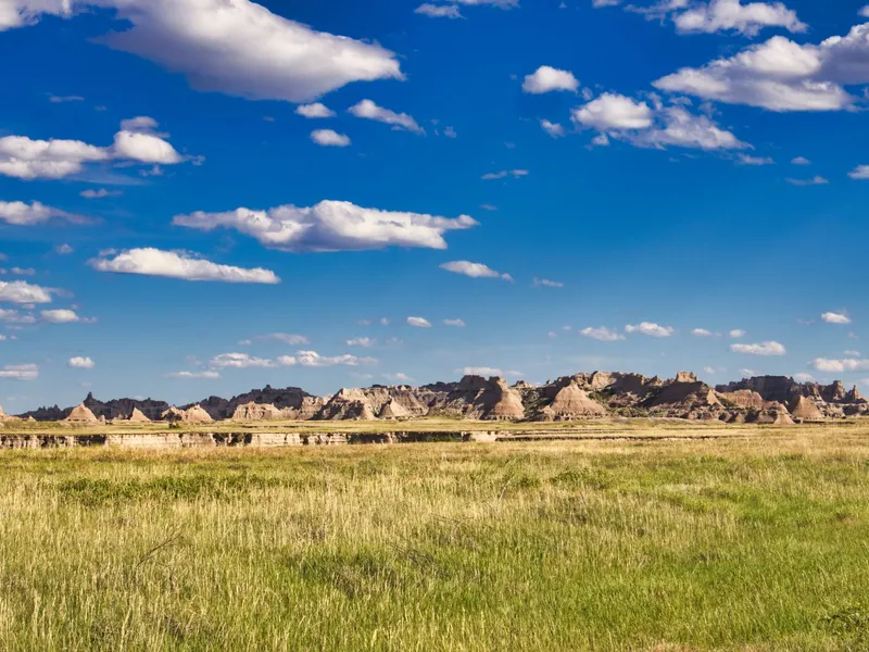Prairie grass in front of the Badlands formations under a blue sky in South Dakota