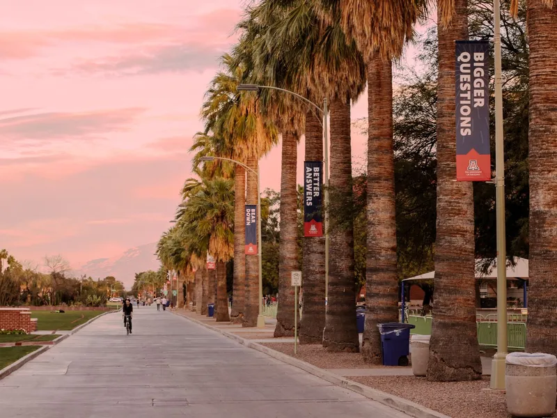 Cyclist and pedestrians on a palm-lined street in Tucson at sunset under a pink sky