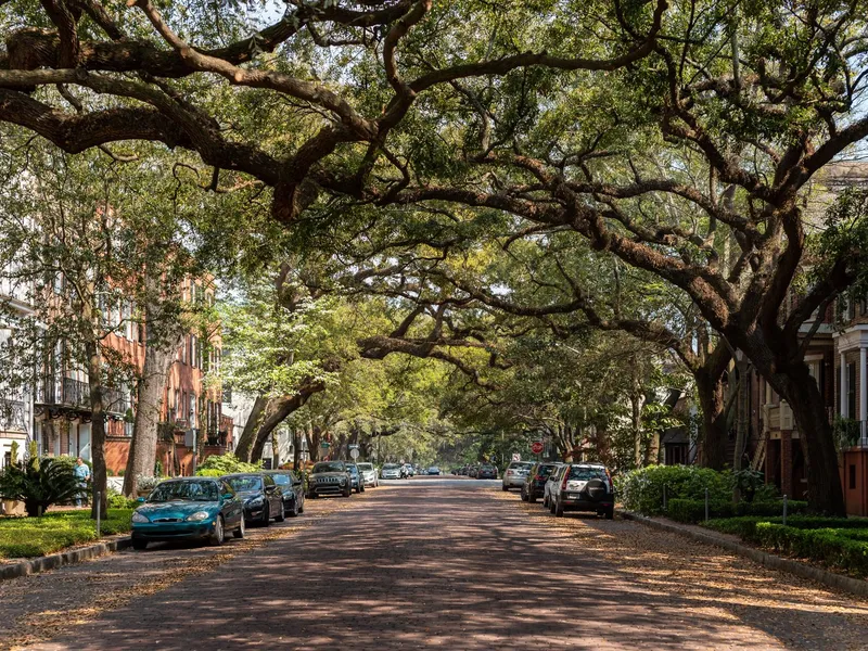 Historic Savannah street lined with parked cars, old townhouses and a canopy of live oak trees