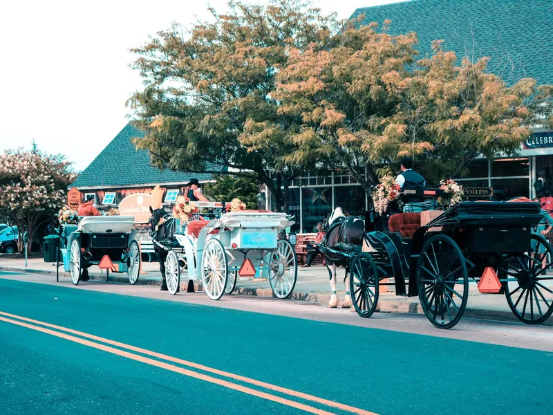 Horse-drawn carriages lined up along a shopping street in Cape May, New Jersey