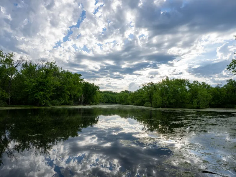 Calm Minnesota lake reflecting trees and a cloudy sky in Wabasha