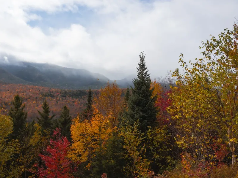 Colorful autumn trees and fog-covered mountains in White Mountain National Forest, New Hampshire