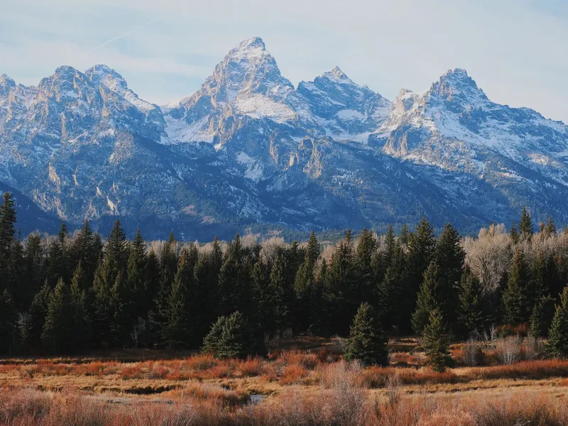 Snow-capped Grand Teton mountains rising above evergreen forest and autumn meadow in Wyoming